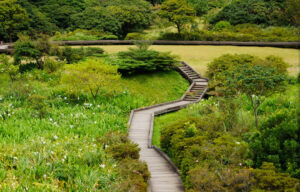 大屯山自然公園,大屯山自然公園包車景點,冷水坑包車景點,冷水坑包車旅遊行程,陽明山包車,擎天崗包車,包車景點.台北包車,台北包車一日遊,包車旅遊,包車,包車服務,包車價格,包車推薦,包車車款,包車行程,包車公司,一日遊包車推薦,一日遊包車行程,潘氏包車,潘氏包車旅遊