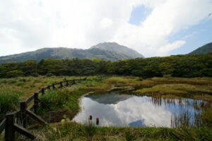 冷水坑包車景點,冷水坑包車旅遊行程,陽明山包車,擎天崗包車,包車景點.台北包車,台北包車一日遊,包車旅遊,包車,包車服務,包車價格,包車推薦,包車車款,包車行程,包車公司,一日遊包車推薦,一日遊包車行程,潘氏包車,潘氏包車旅遊