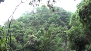 宜蘭文藝包車,宜蘭輕旅行包車,宜蘭傳統包車,宜蘭包車,宜蘭旅遊包車,宜蘭包車旅遊,宜蘭包車自由行,宜蘭包車一日遊,宜蘭包車推薦