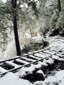 宜蘭太平山包車旅遊,太平山包車,宜蘭太平山包車旅遊推薦,太平山包車旅遊,宜蘭旅遊包車太平山 