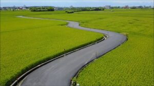 宜蘭包車│宜蘭包車景點│宜蘭旅遊景點推薦 宜蘭三奇伯朗大道