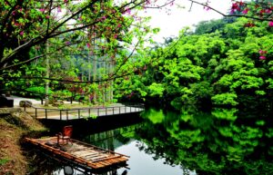 慈湖包車景點,大溪老街包車旅遊,新豐紅樹林,桃園包車一日遊行程,桃園包車價格,桃園包車服務,桃園包車行程,桃園熱門景點包車,桃園市區包車,桃園古蹟包車旅遊,包車景點.桃園包車,桃園包車一日遊,包車旅遊,包車,包車服務,包車價格,包車推薦,包車車款,包車行程,包車公司,一日遊包車推薦,一日遊包車行程,潘氏包車,潘氏包車旅遊,包車一日遊,桃園包車景點推薦,台北包車,台北包車旅遊,台北包車推薦